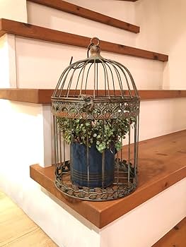 Amazon.co.jp: アイアンの鳥かごです 庭 園芸 花 寄せ植え